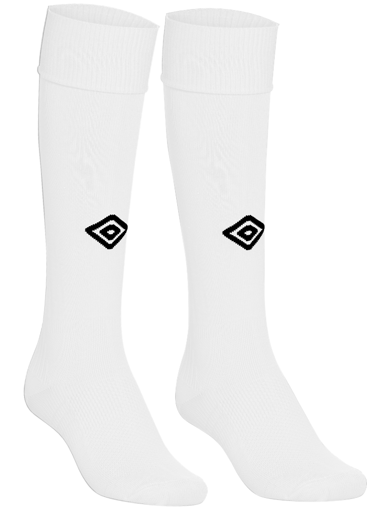 Inter Lions League Socks White