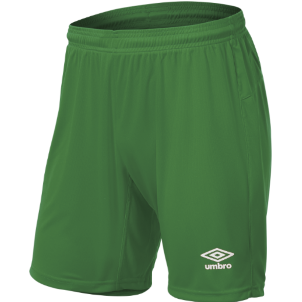 Ashburton United Emerald Green Shorts- No logo