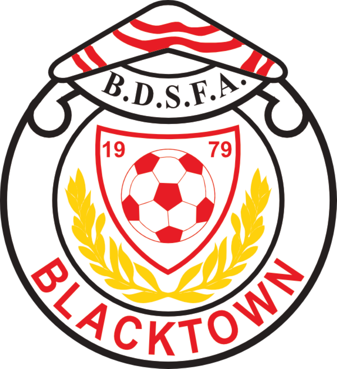 BDSFA Team Selection
