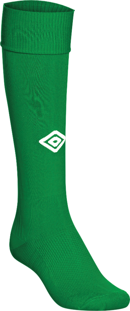 BPHS GK Kit League Socks Emerald Green